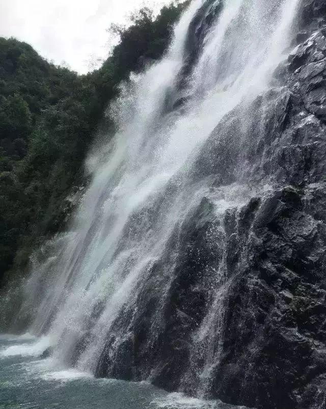 精灵嘉年华